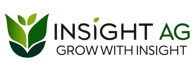 Insight AG